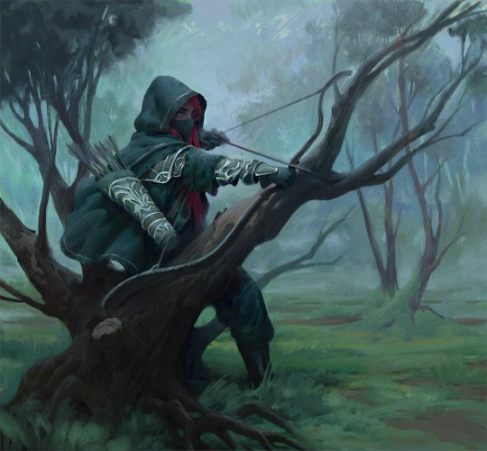D&D Rogue sharpshooter