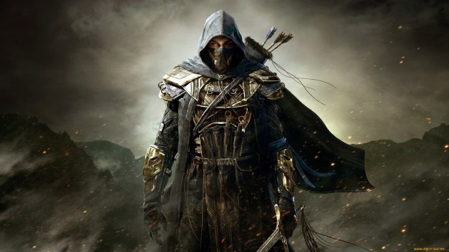 DnD Rogue assassin