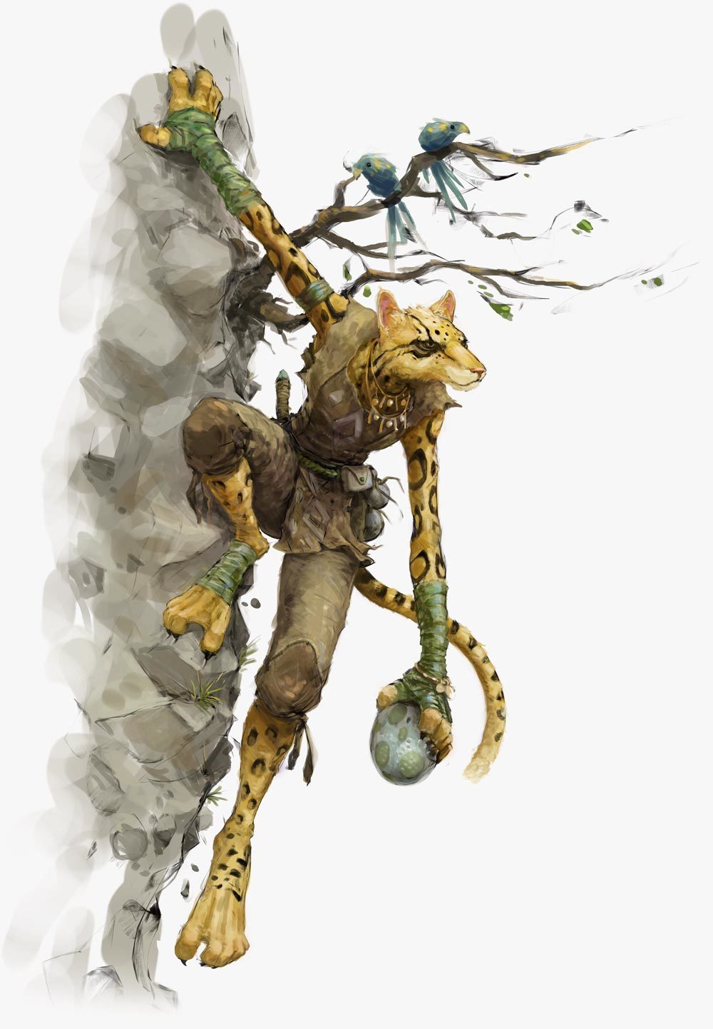 dnd Tabaxi