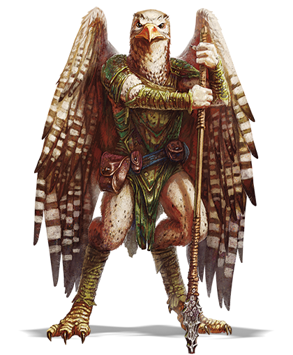 dnd aarakocra