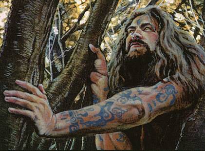 dnd druid hermit