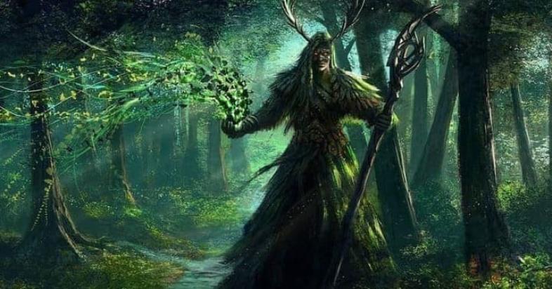 dnd druid in forest