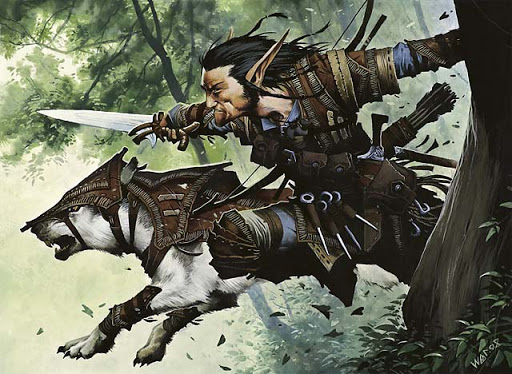 dnd druid with sword