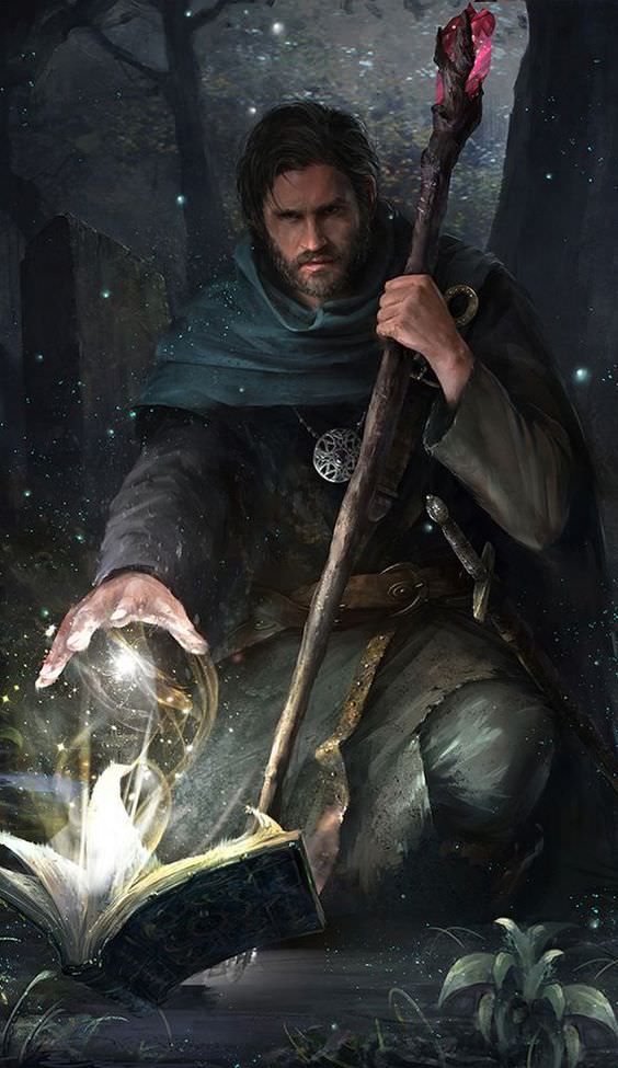 dnd wizard human